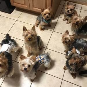 Meet your Posher, Vicki